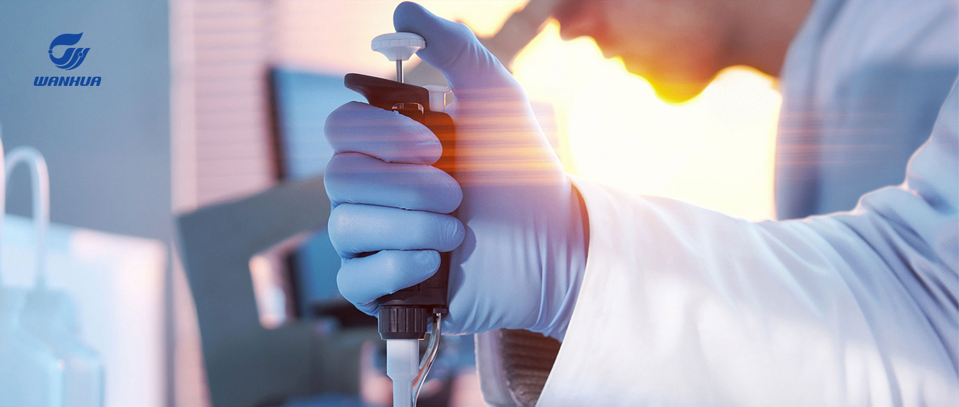 万华微视界，让生活更美好